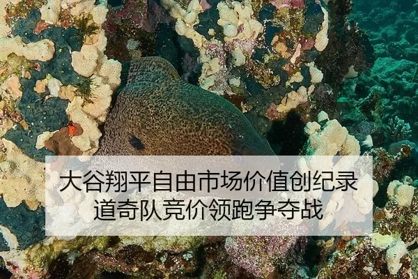 da-gu-xiang-ping-zi-you-shi-chang-jia-zhi-chuang-ji-lu-dao-qi-dui-jing-jia-ling-pao-zheng-duo-zhan-2-934.jpg